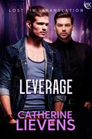   Leverage