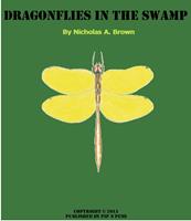   Dragonflies in the Swamp