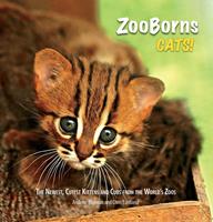   ZooBorns Cats!