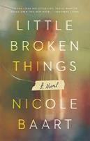   Little Broken Things