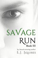   Savage Run 3