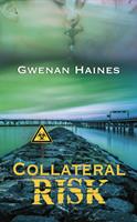   Collateral Risk