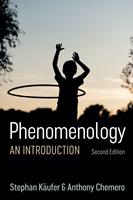   Phenomenology