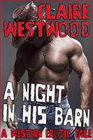   A Night in His Barn