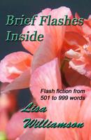   Brief Flashes Inside