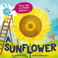   A Sunflower