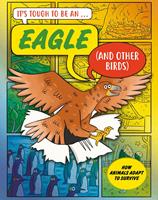An Eagle (and Other Birds)