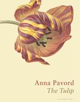   The Tulip