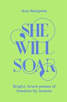   She Will Soar