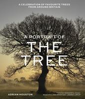   A Portrait of the Tree