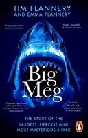   Big Meg