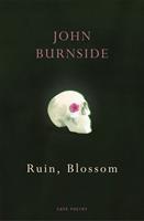   Ruin, Blossom