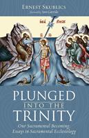   Plunged into the Trinity