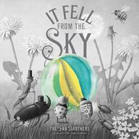   It Fell from the Sky