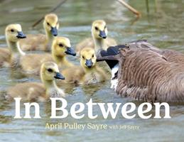   In Between