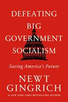   Defeating Big Government Socialism