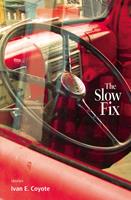   The Slow Fix