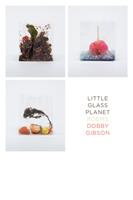  Little Glass Planet
