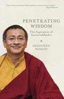   Penetrating Wisdom