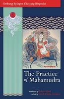   The Practice of Mahamudra