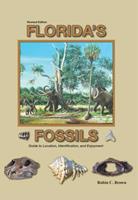   Florida's Fossils