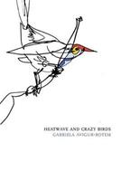   Heatwave and Crazy Birds