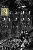   The Night Birds