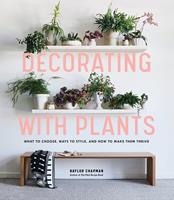   Decorating with Plants