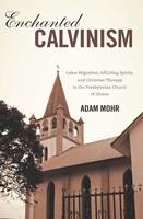   Enchanted Calvinism