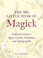   The Big Little Book of Magick