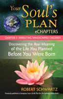   Your Soul's Plan eChapters - Chapter 3: Parenting Handicapped Children