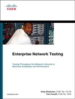   Enterprise Network Testing