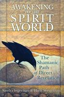   Awakening to the Spirit World