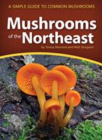   Mushrooms of the Northeast