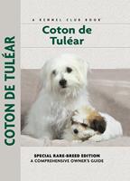   Coton De Tulear