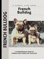   French Bulldogs