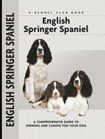   English Springer Spaniel
