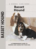   Basset Hound