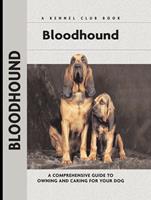   Bloodhound