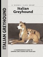   Italian Greyhound