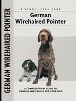   German Wirehaired Pointer
