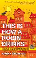   This Is How a Robin Drinks