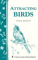   Attracting Birds
