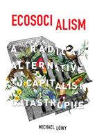   Ecosocialism
