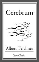   Cerebrum