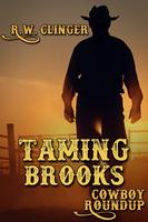   Taming Brooks