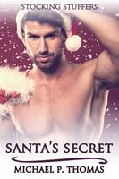   Santa's Secret