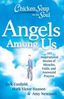   Chicken Soup for the Soul: Angels Among Us