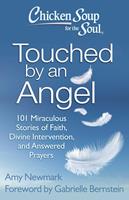   Chicken Soup for the Soul: Touched by an Angel