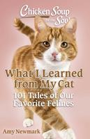   Chicken Soup for the Soul: What I Learned from My Cat